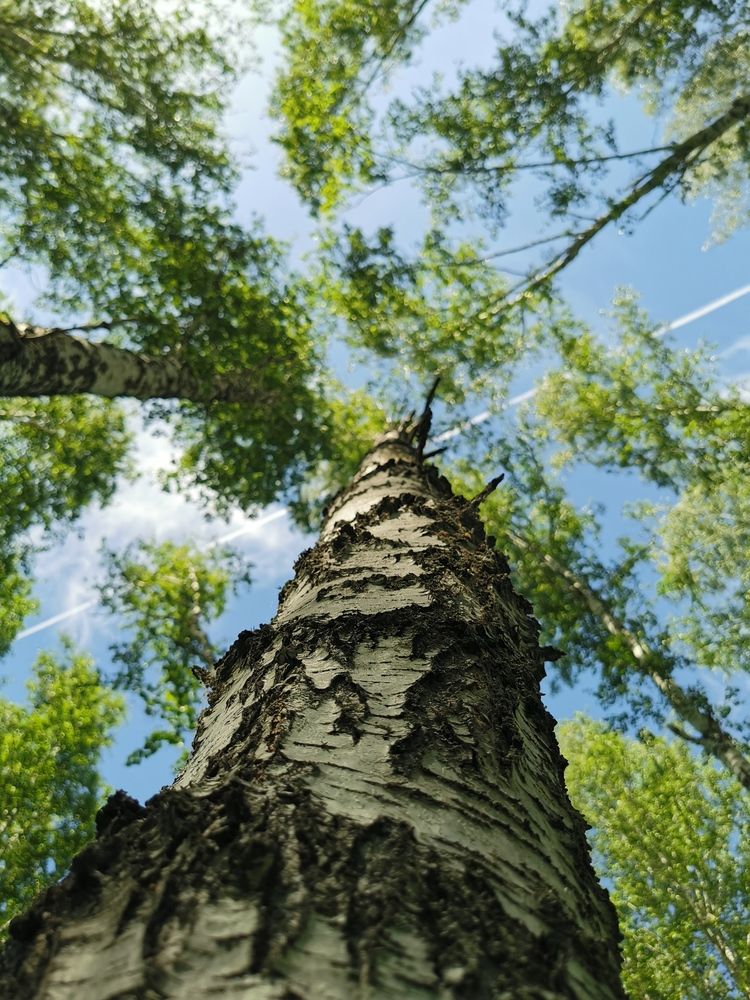 Photograph by Дмитрий Дьяченко