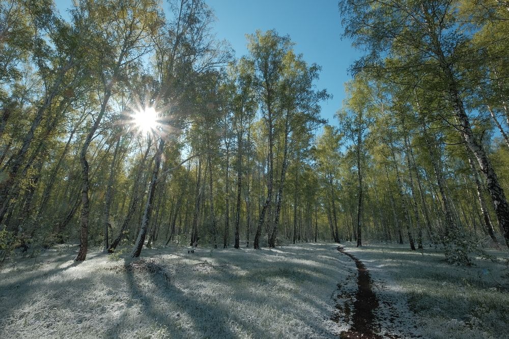 Photograph by Константин Степанов