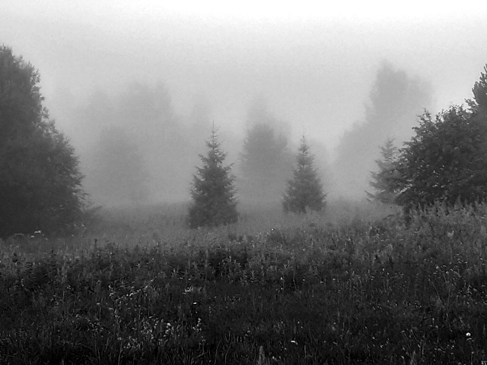 Photograph by Юрий Пучков