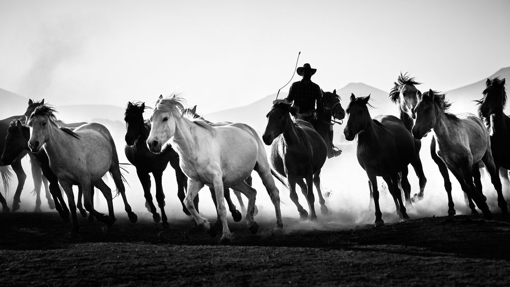 Фотография #11868521