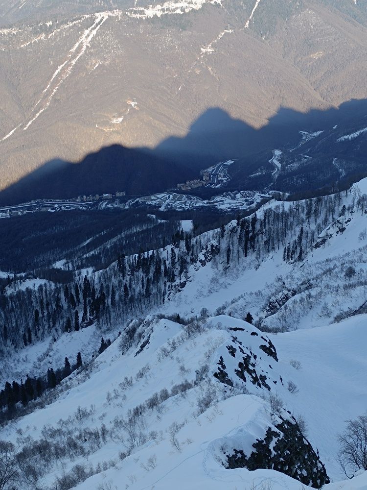 Photo #11868524