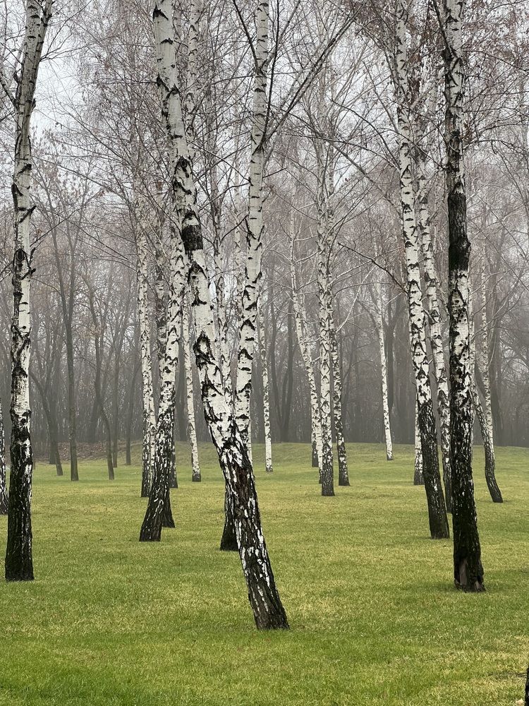 Photograph by Зарина