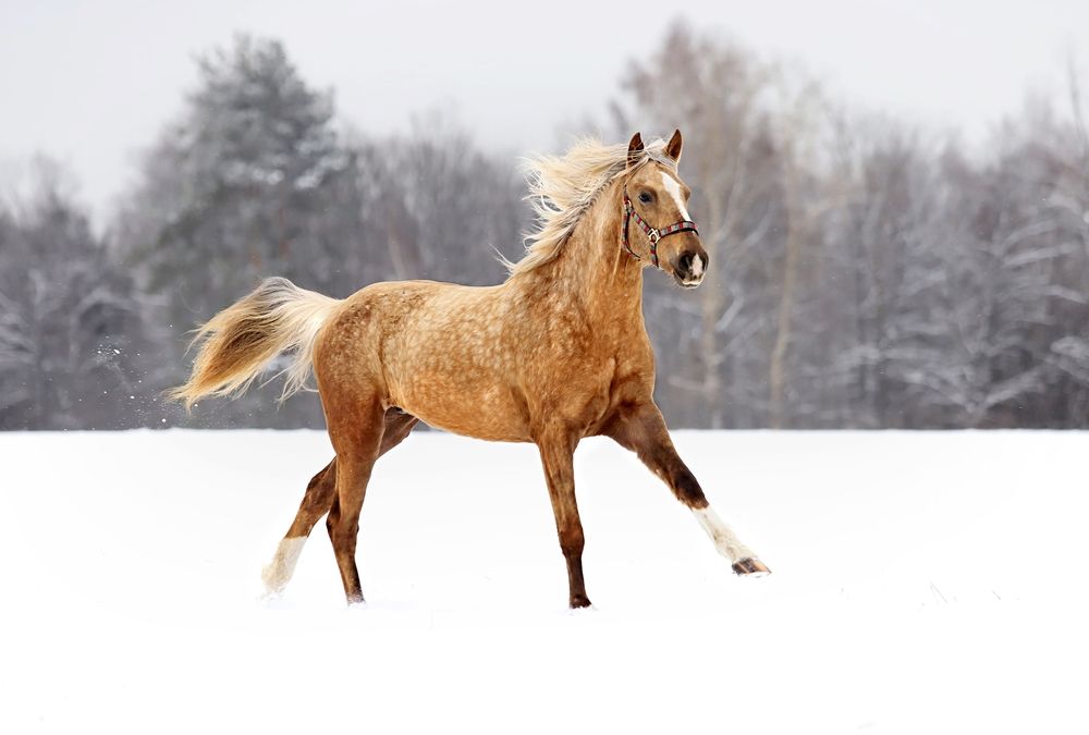 Photograph by Галина Щурова