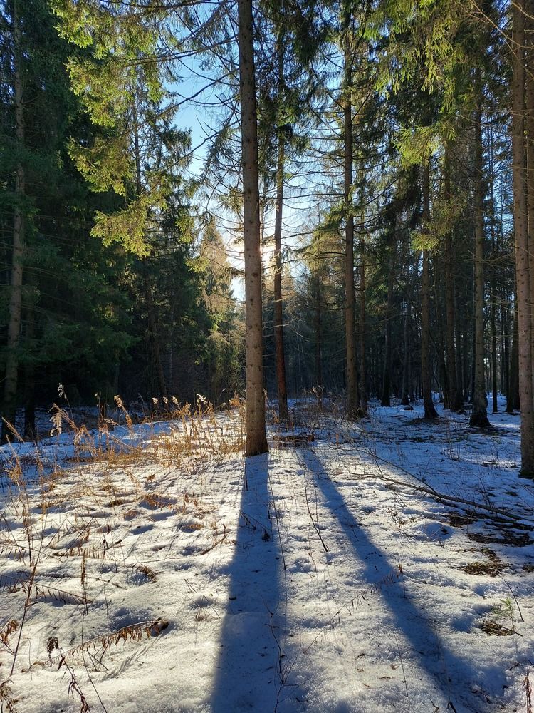 Фотография автора Сергей Никишин