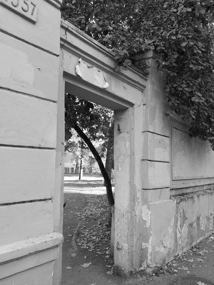 Photograph by Olga Bagaeva