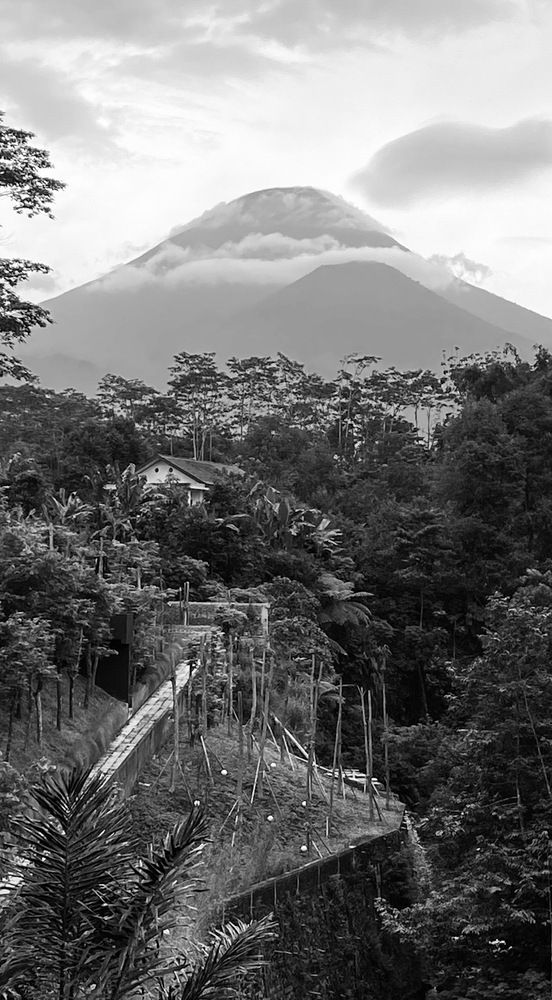 Photograph by Jason Hioe