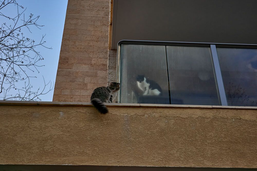 Photograph by Alexander Leshinsky