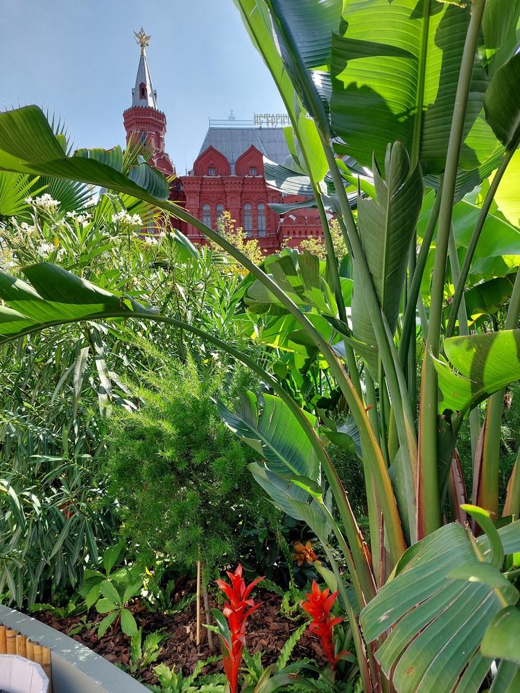 Фотография автора Сергей Никишин