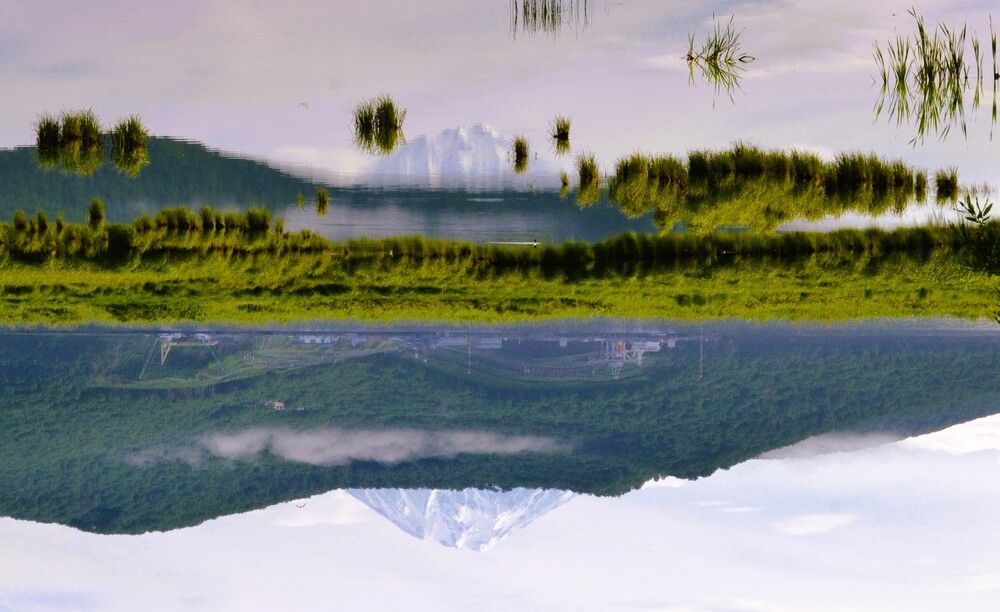 Встань на голову!