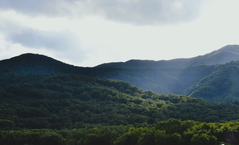 Там лес и дол видений полны