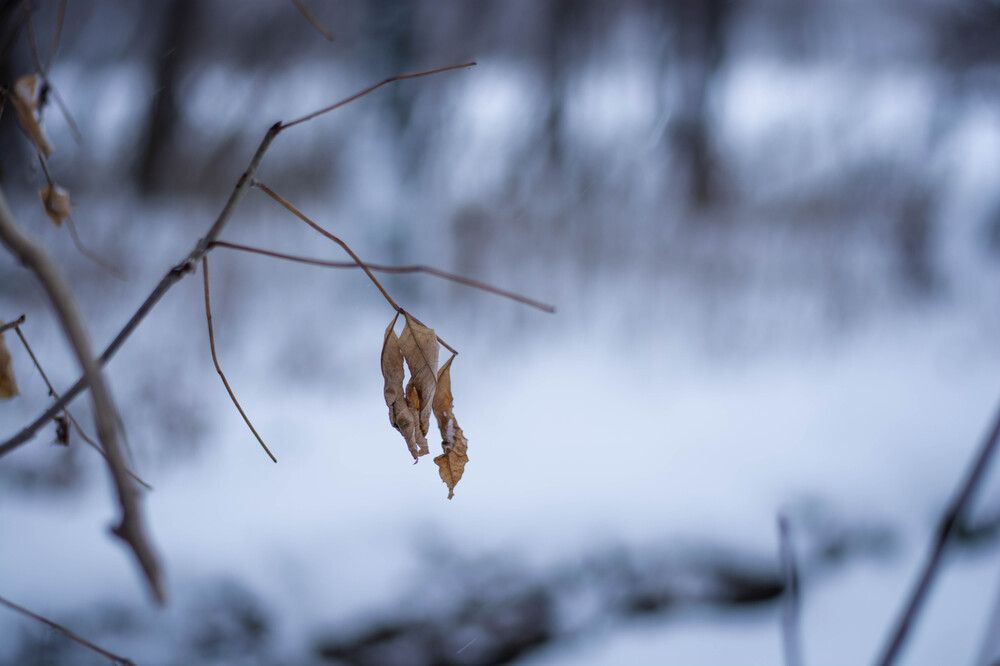 Photograph by Кристина Безмельницина
