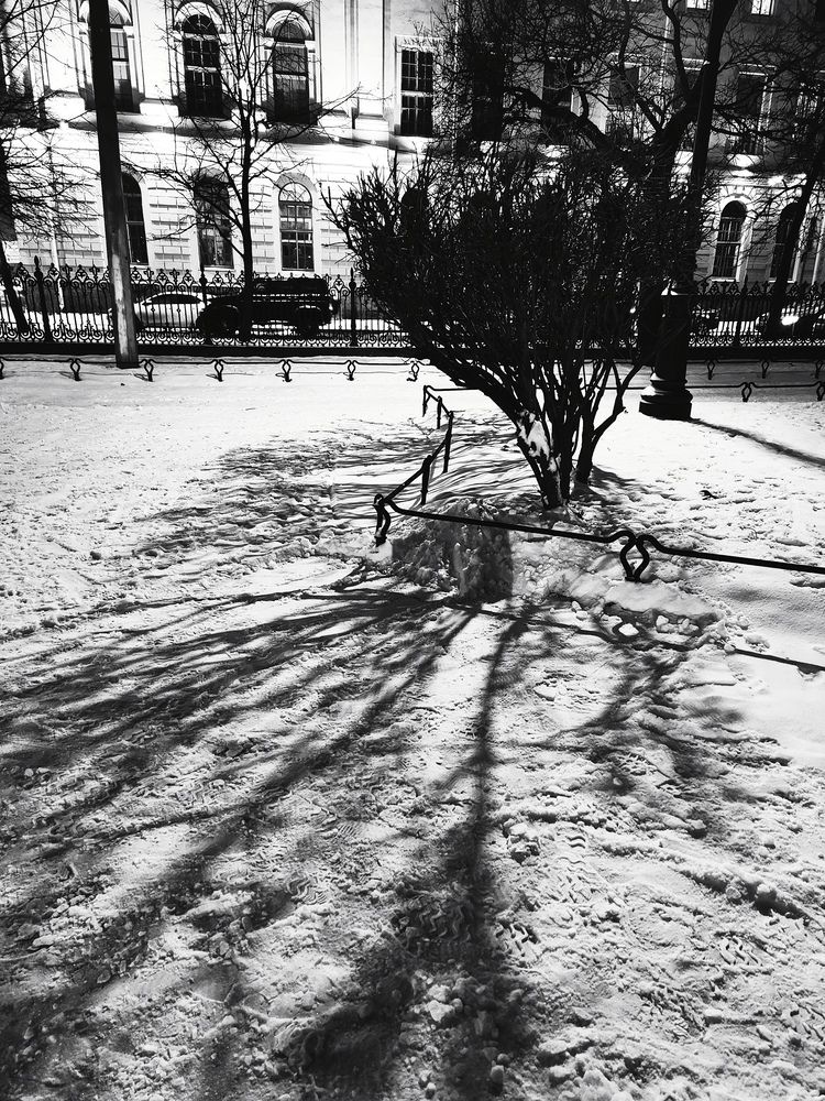 Photograph by Марина Ромашова