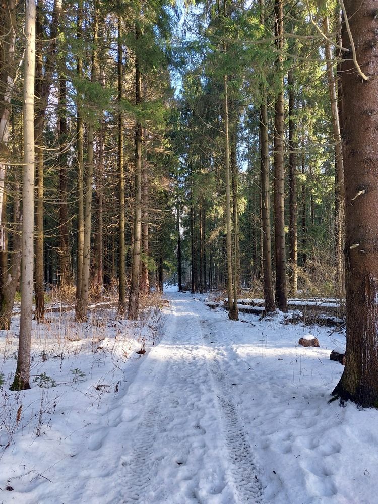 Фотография автора Сергей Никишин