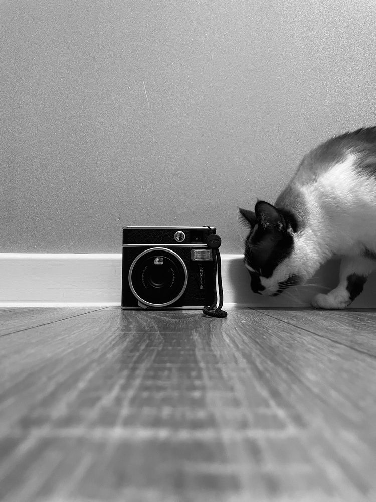 Photograph by Анна
