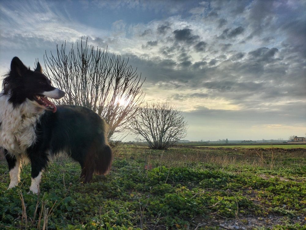 Photo #11868786