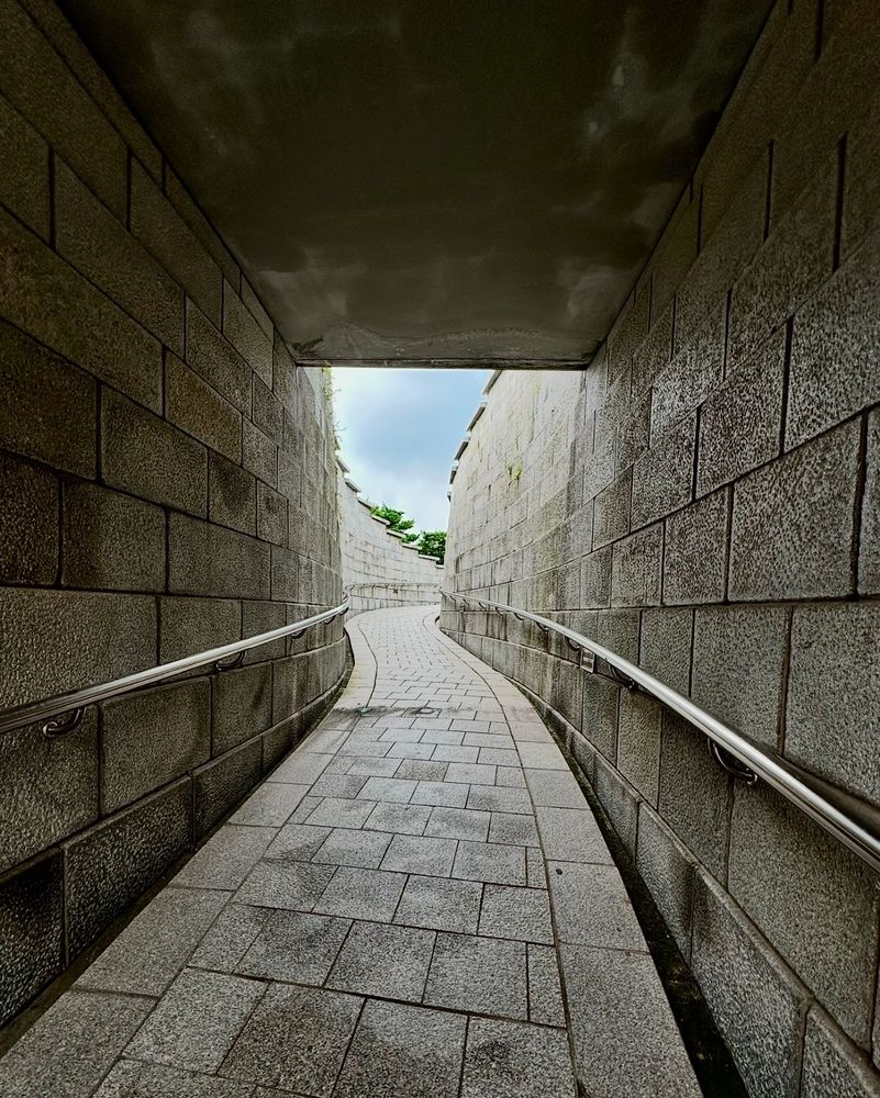 Photograph by Larisa