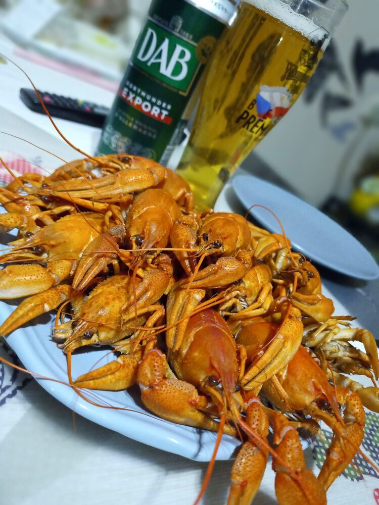 Фотография автора Михаил Бурминский