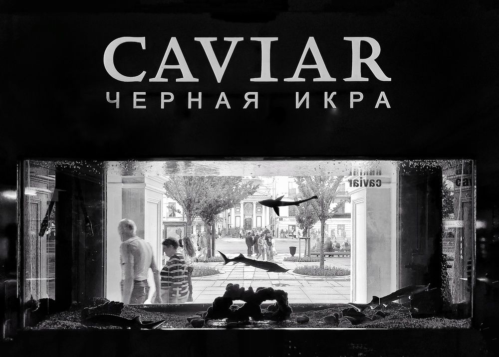 Черная икра