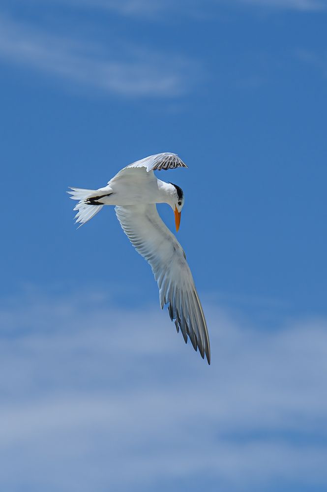 Photograph by Вячеслав Белов