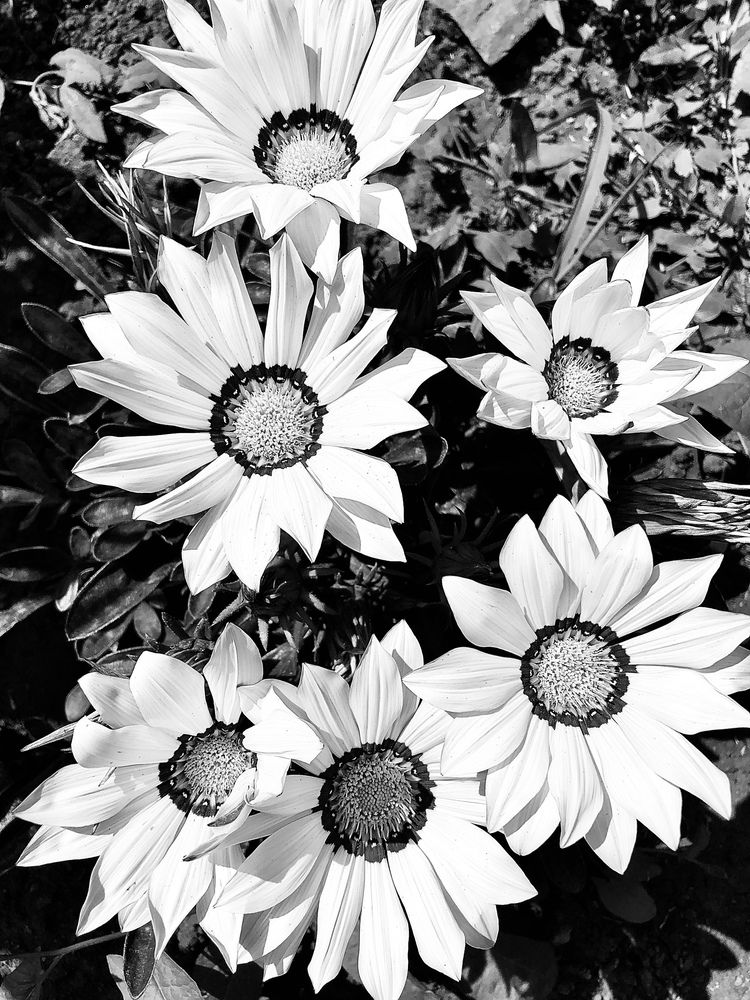 Photograph by Валерия Шишлова