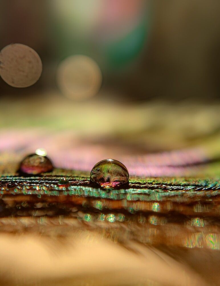 Photograph by Prateek Maurya