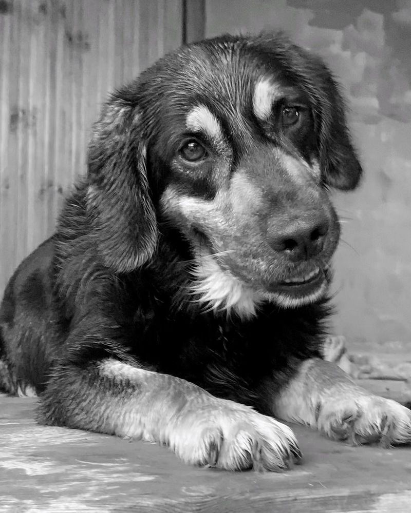 Фотография автора Татьяна Гончарова