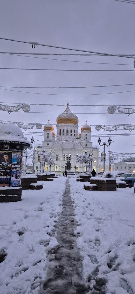 Фотография автора Ольга Мусина
