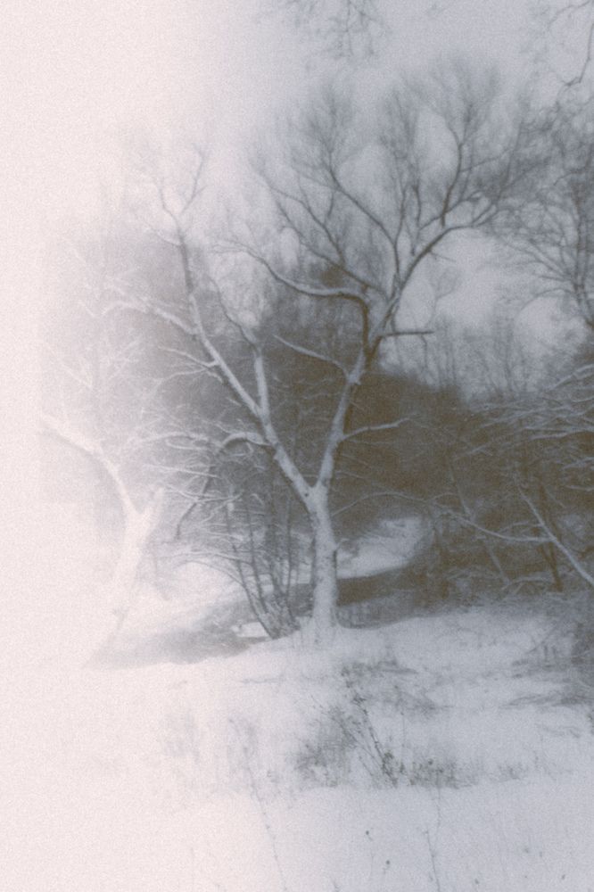Photograph by Елена Глухова