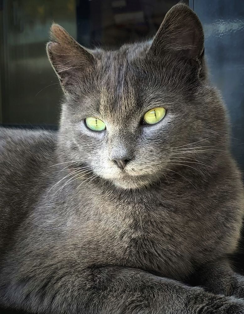 Фотография автора Татьяна Гончарова