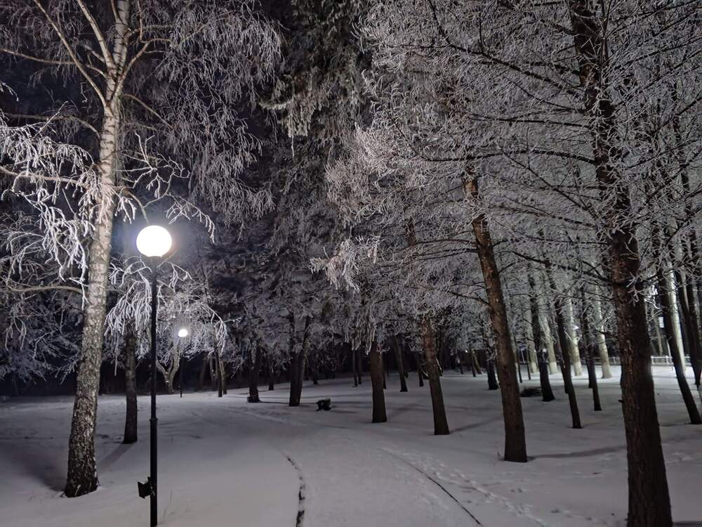 Photograph by Надежда Титова