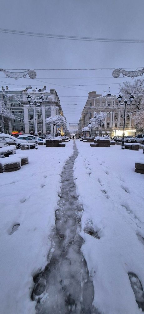 Фотография автора Ольга Мусина