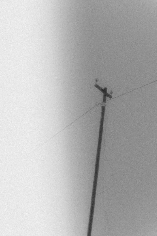 Photograph by Елена Глухова