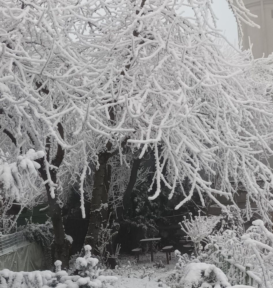 Фотография автора BUTYKA ENIKŐ- ÉVA