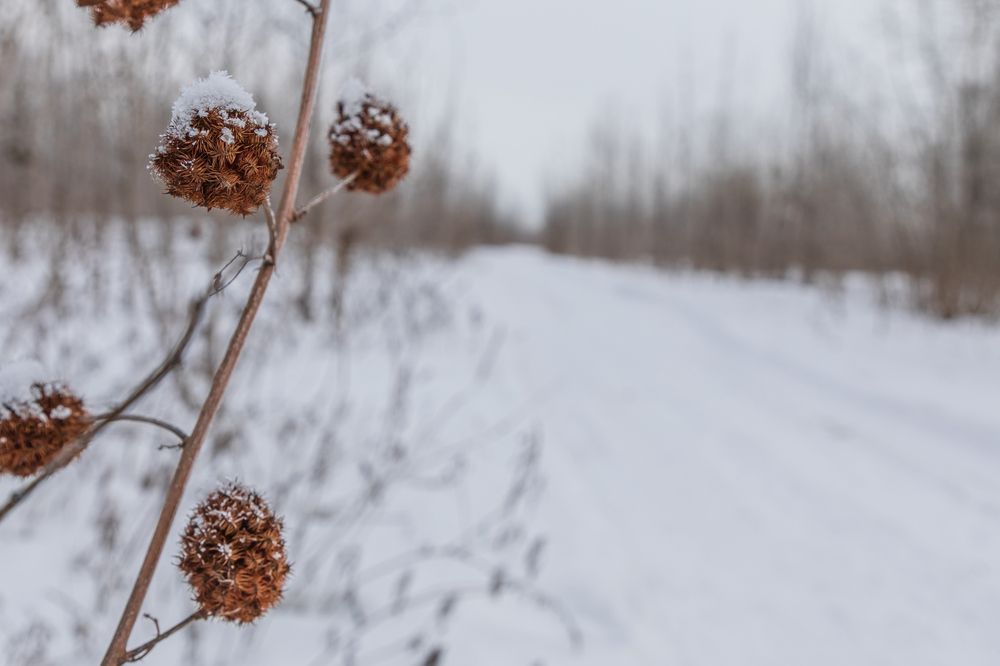 Photograph by Татьяна Гузева