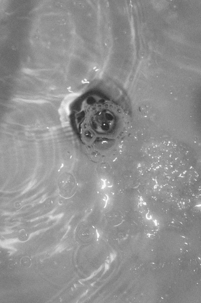 Photograph by Елена Глухова