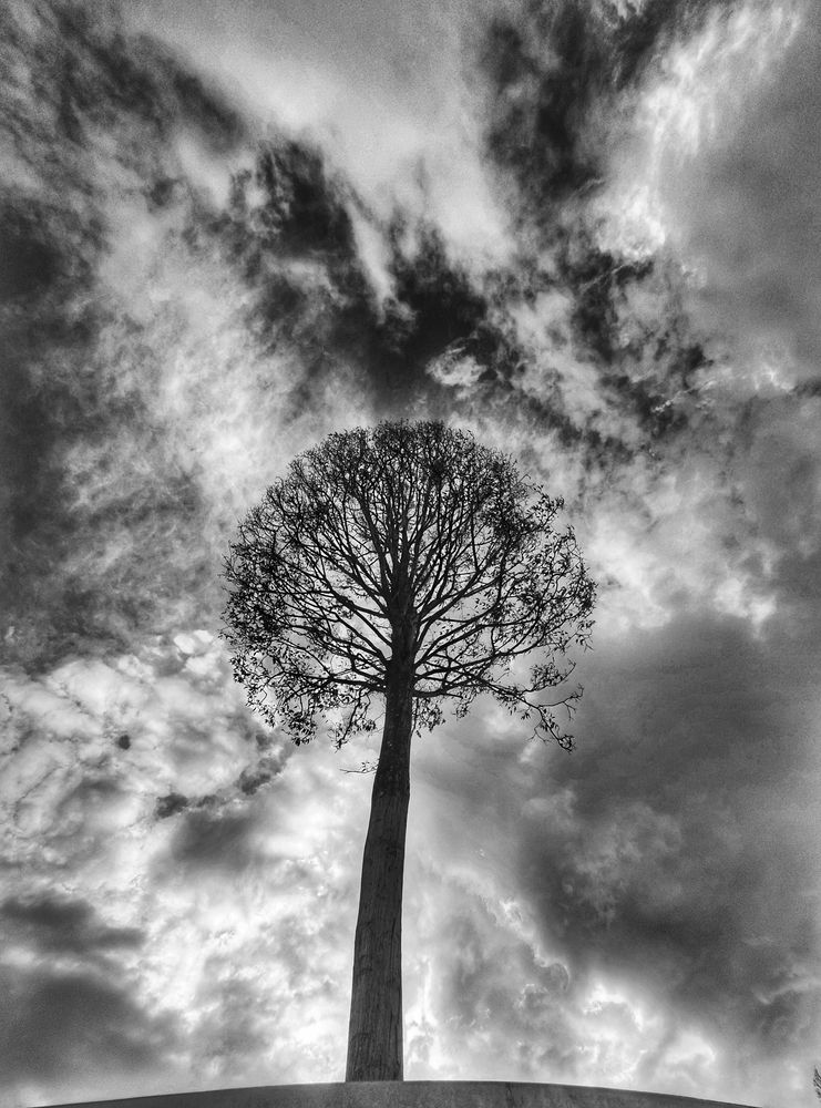 Photograph by Андрей Евтеев