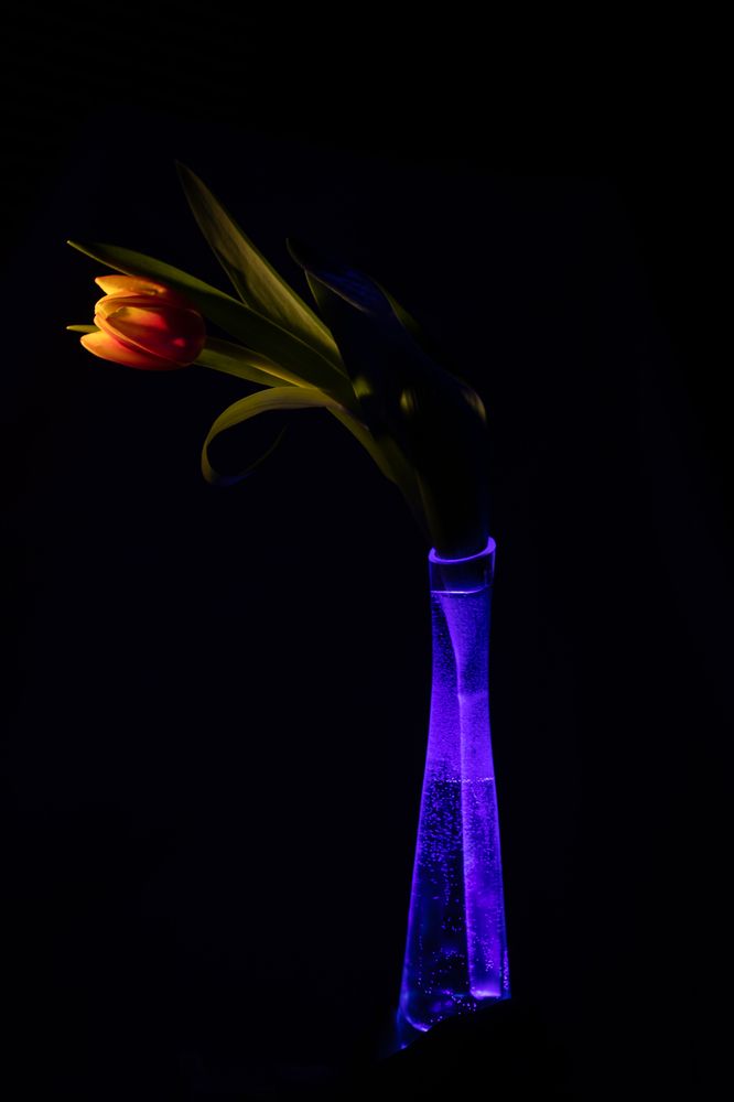 Photograph by Татьяна Гузева