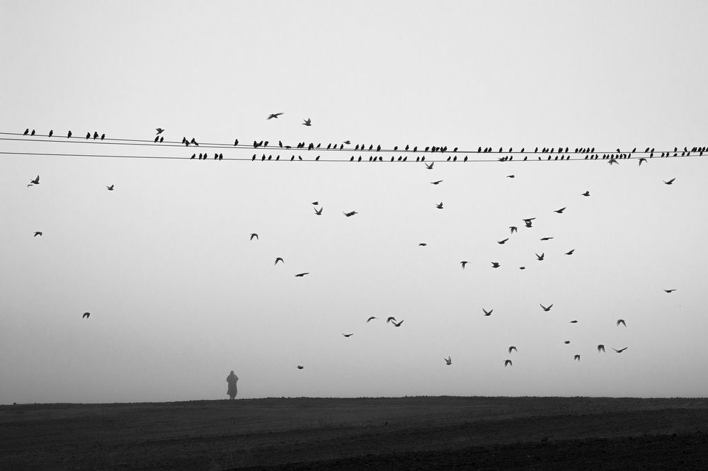 Фотография автора Salar Charmi