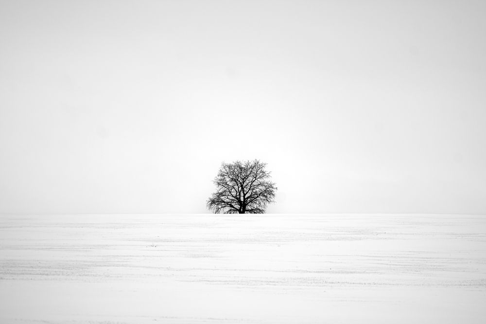 Фотография автора Kirill Osipov