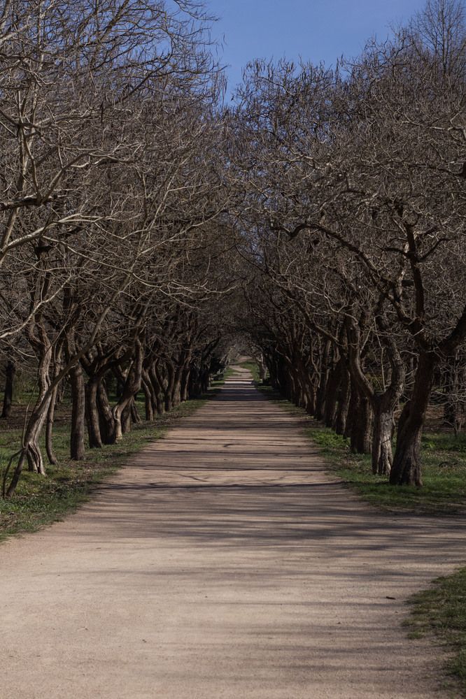 Photograph by Ксения Золотарь