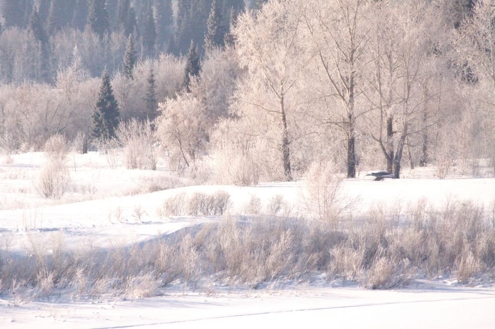 Photograph by Natalia