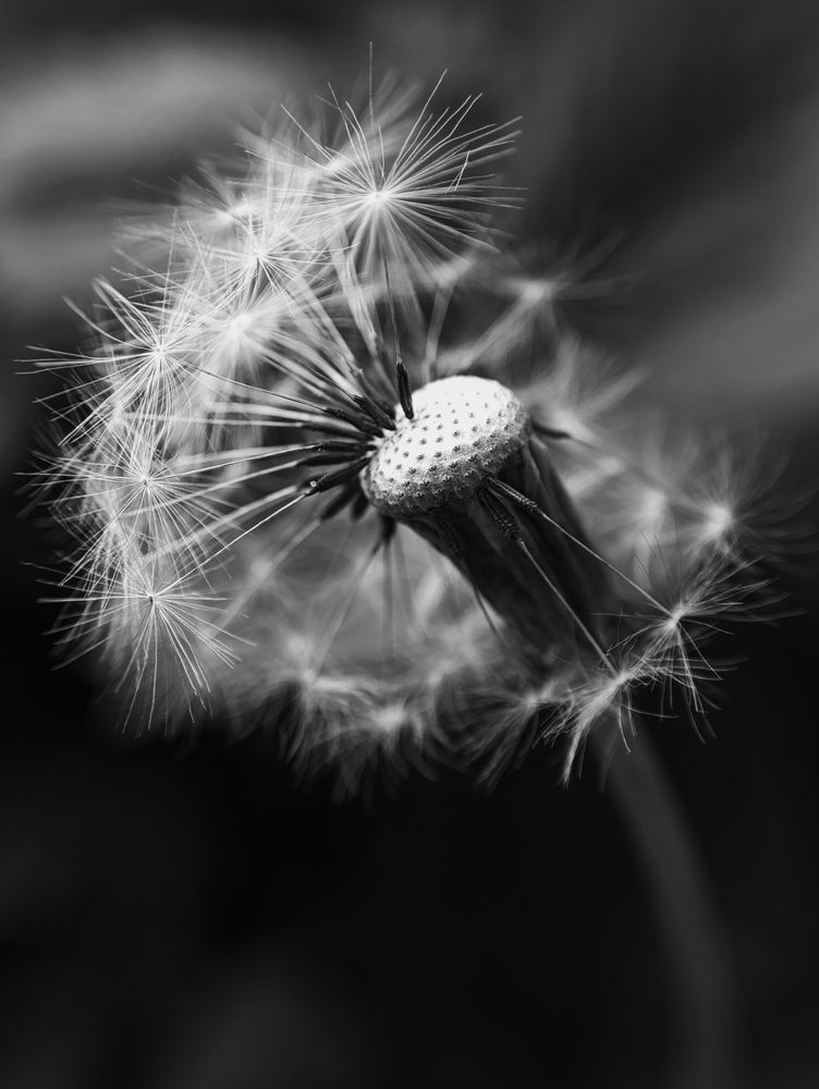 Photograph by Лера Васильчева