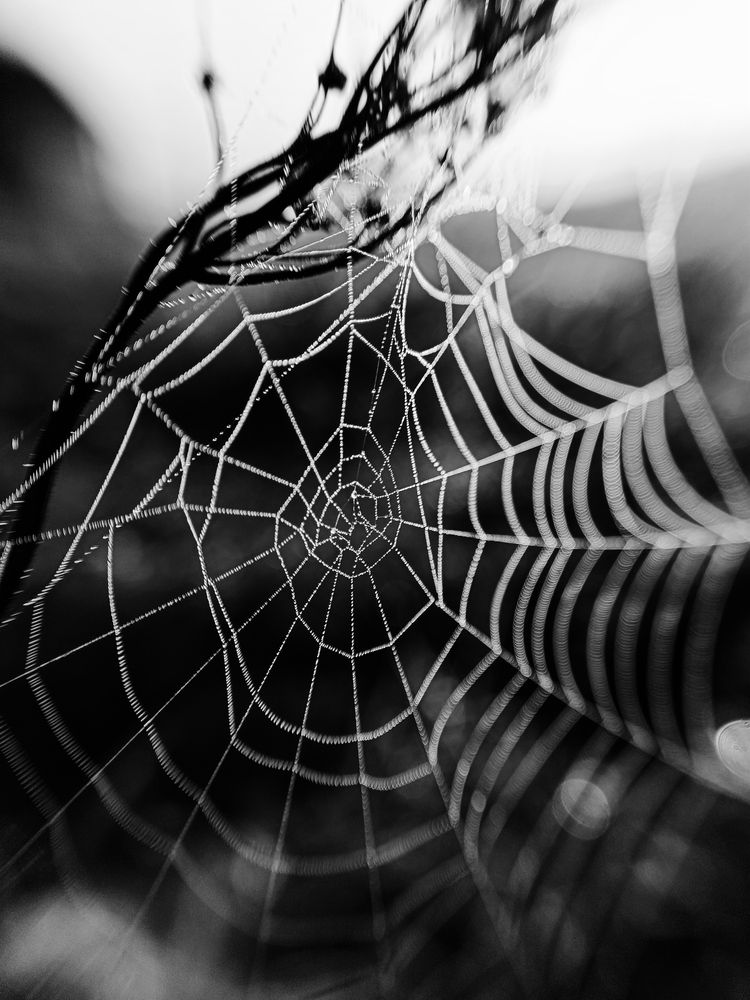 Photograph by Лера Васильчева