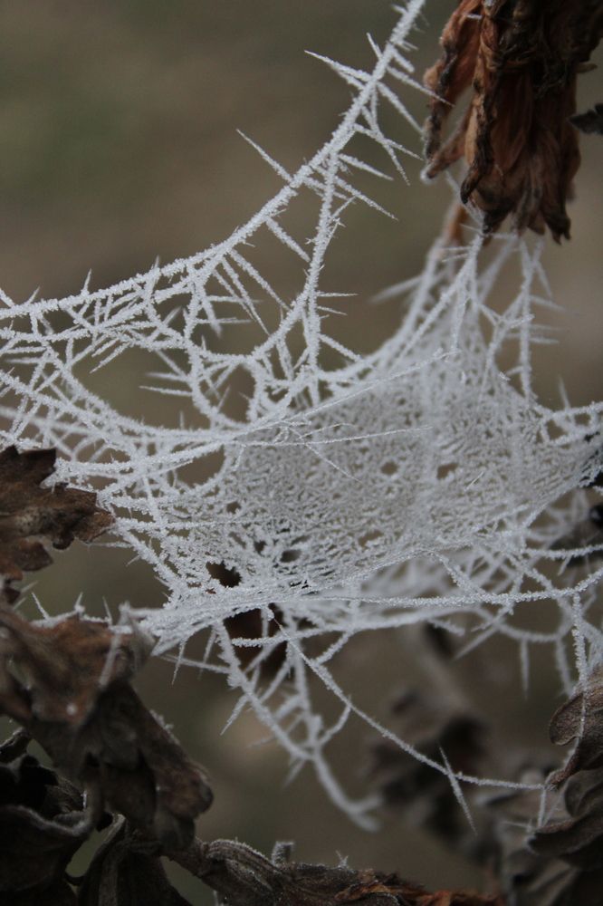 Photograph by Юлия Чурина