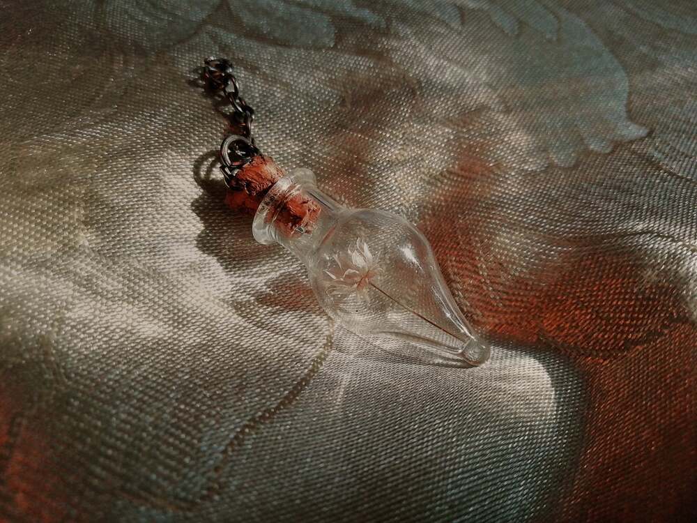Photograph by Vis Tacayuki