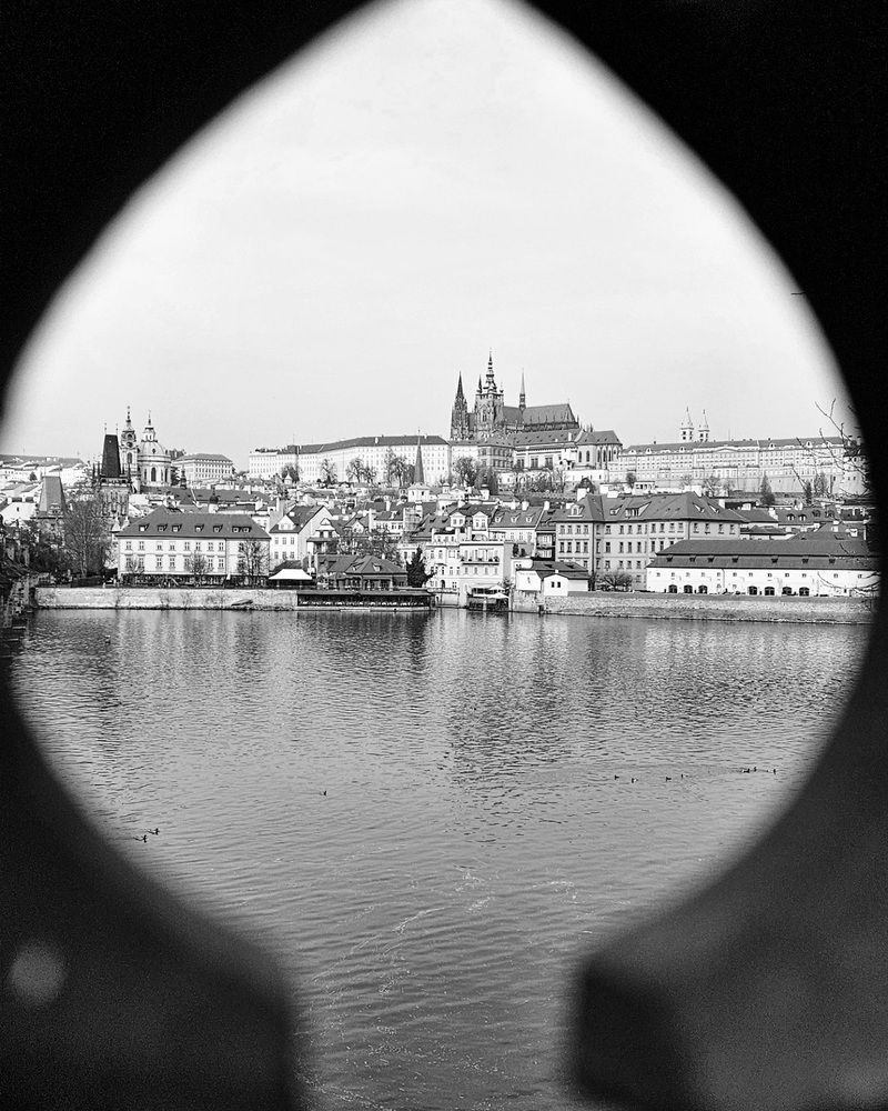 Фотография автора ANNA ILICHEVA