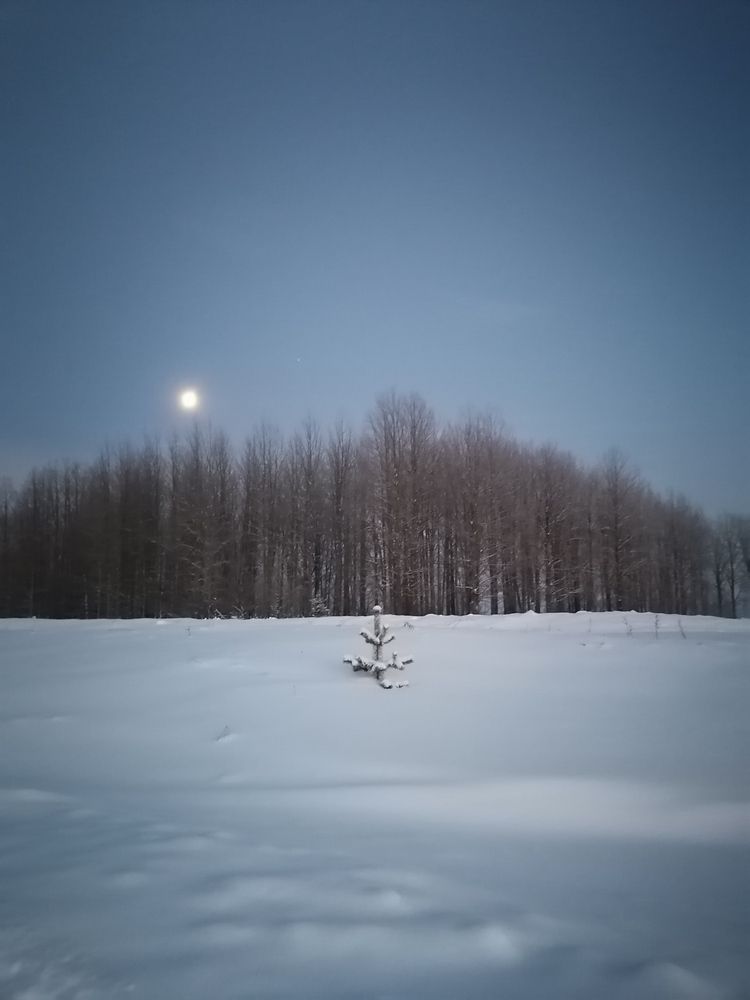 Photograph by Татьяна Бешенкина