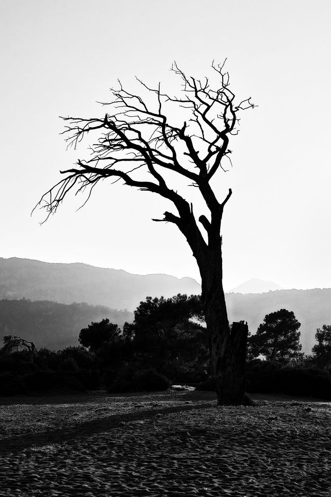 Photograph by Елена Евдокимова