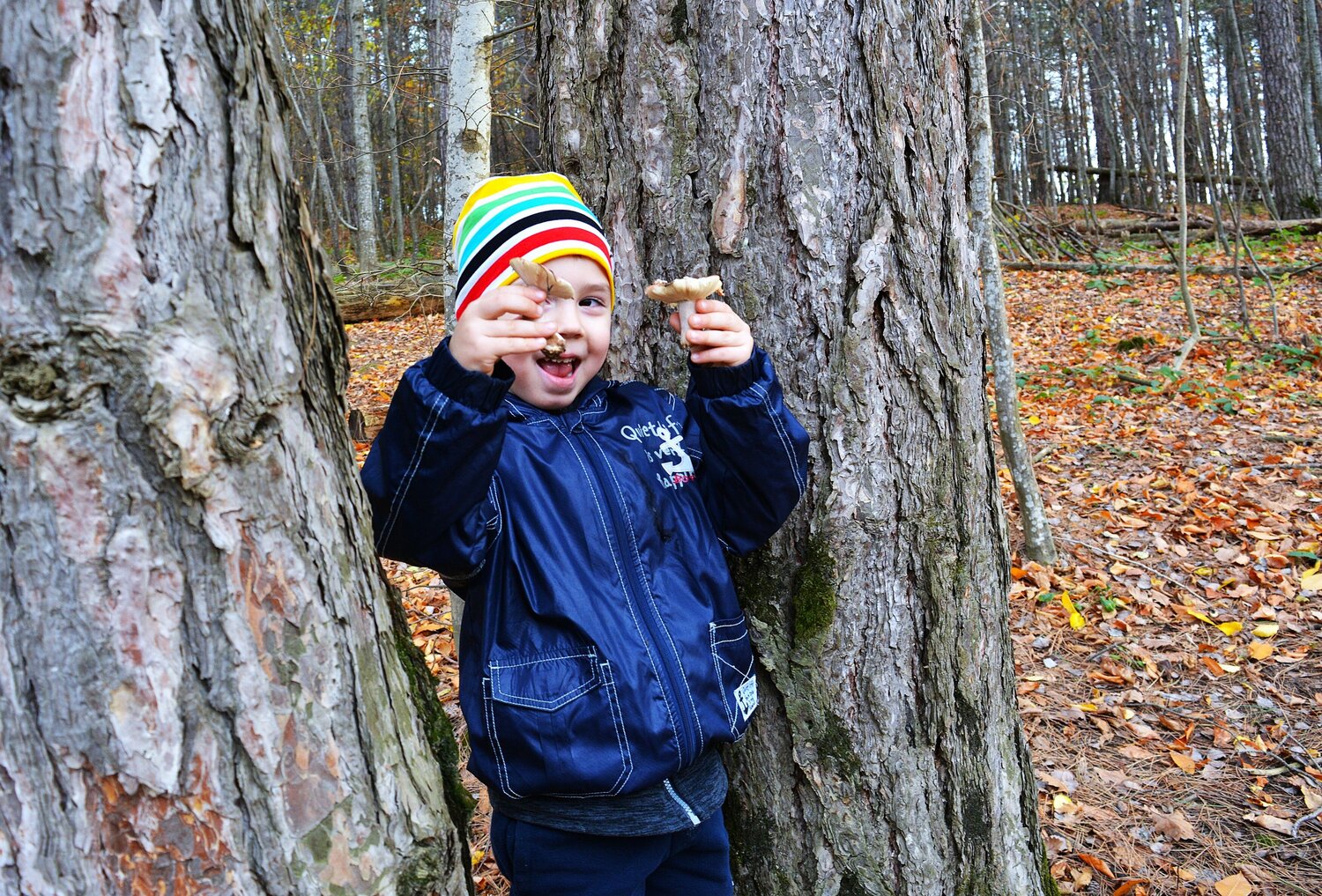 Photo #11869313
