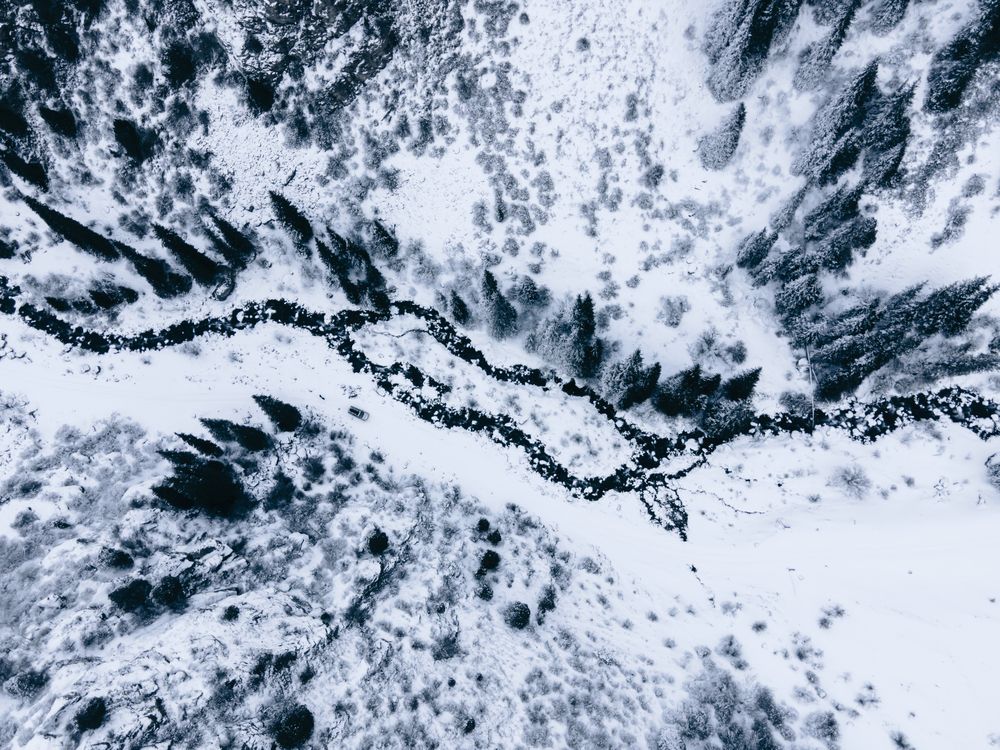 Фотография автора Kimia Shad